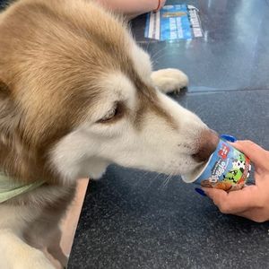 Meet your Posher, Ashlyn